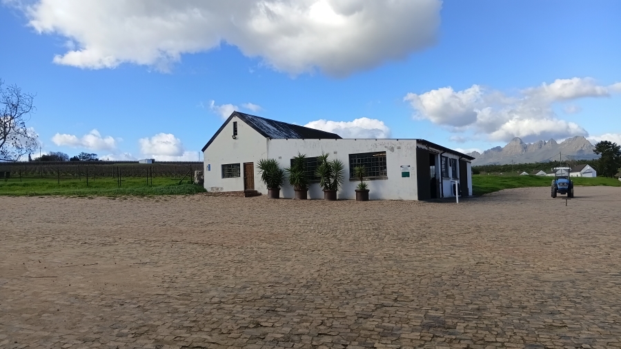 5 Bedroom Property for Sale in Stellenbosch Farms Western Cape